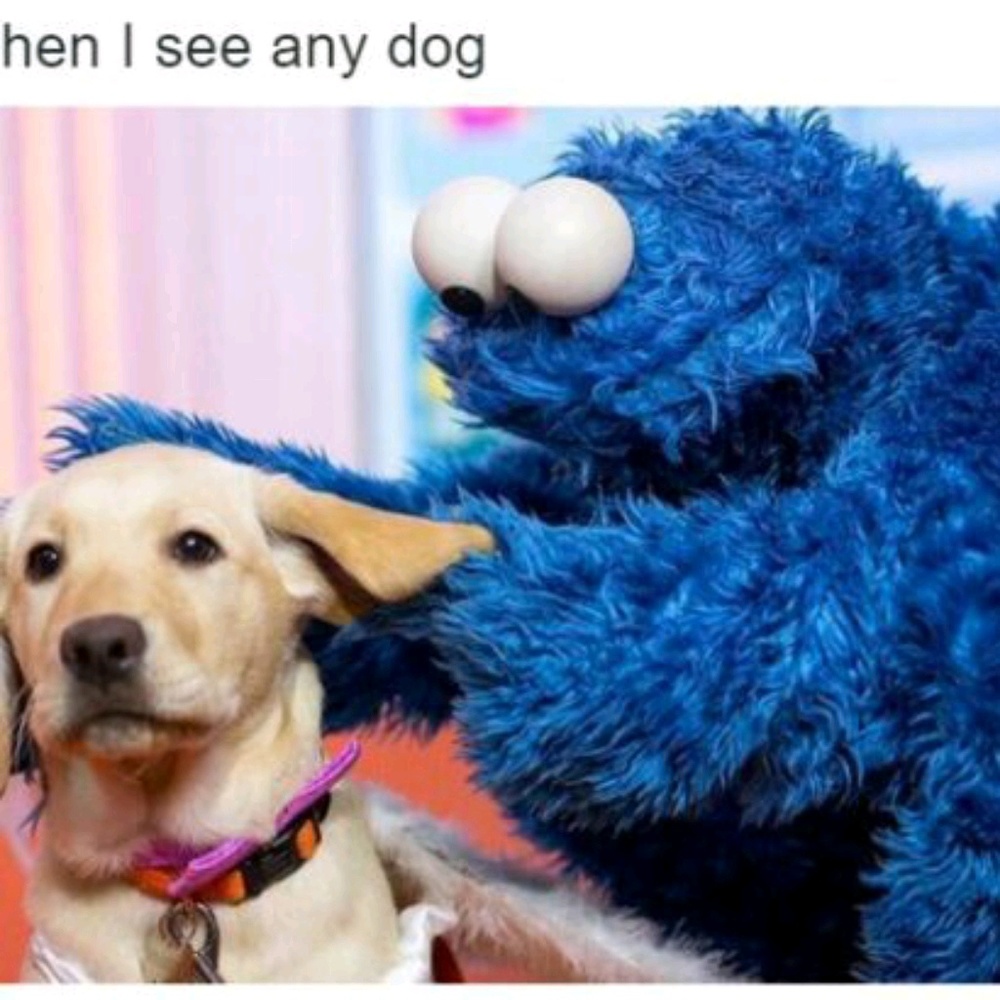 Meet your Posher, Sam